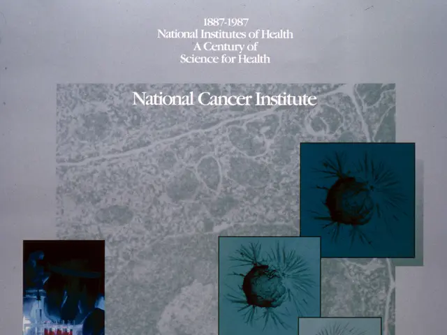 The image shows a poster for the National Cancer Institute, featuring text and images. The poster...
