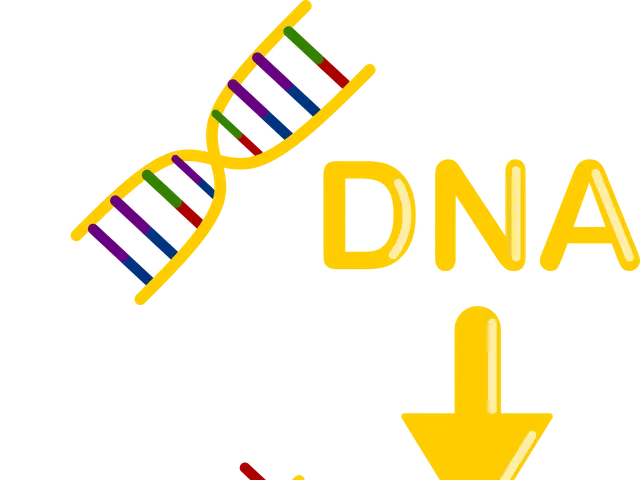 The image shows a white background with a DNA molecule and an arrow pointing to the right,...