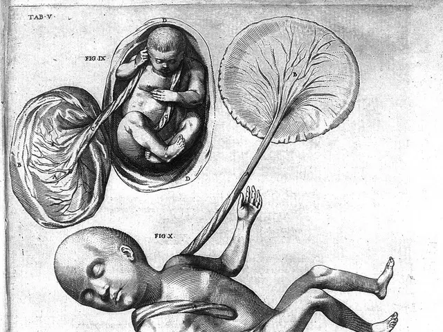 The image shows a black and white drawing of three babies in the womb, with a human head in the...