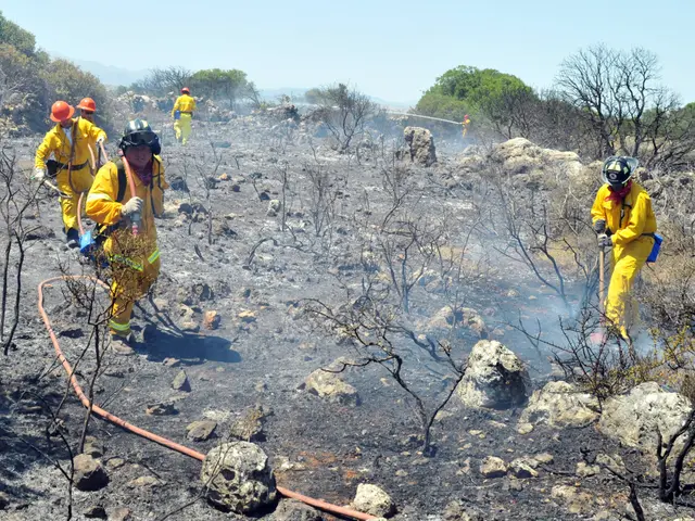 The image shows a group of firefighters in yellow uniforms and helmets walking through a burned...