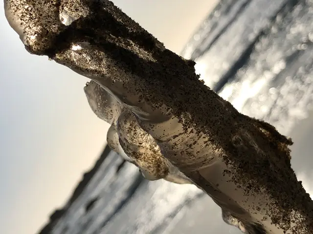 The image shows a close up of a piece of ice on a beach, with the water and sky in the background....