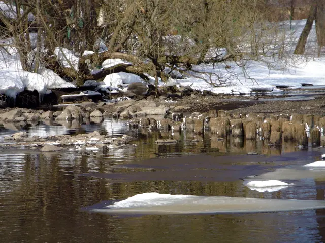 The image shows a river with ice and snow on the banks, surrounded by trees and rocks. The water is...
