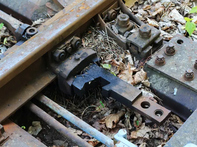 The image shows a close up of a train track in the woods, with metal objects, nuts, bolts, and...