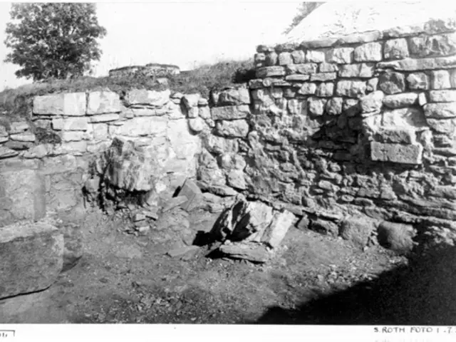 The image shows a black and white photo of a stone wall with a tree in the background and the sky...