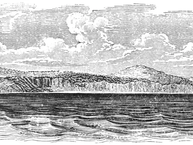 The image shows a black and white engraving of a small island in the middle of a body of water,...