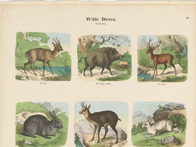 The image shows a book with a variety of wild animals on it, including a deer, rabbit, and other...