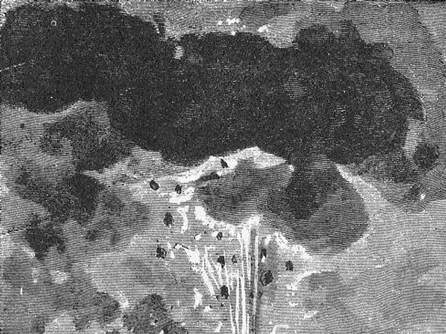 The image shows a black and white illustration of a volcano erupting from the ocean, with a whale...