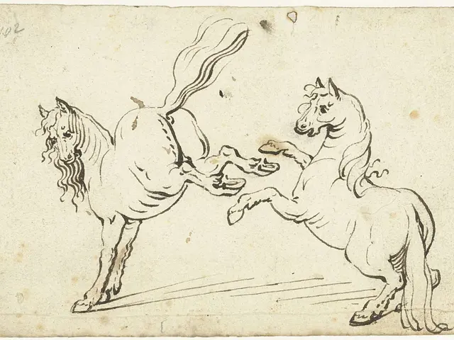 The image shows two horses engaged in a fierce battle, their manes and tails flowing in the wind as...