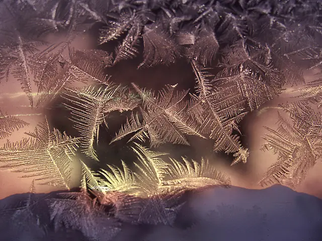 The image shows a close up of a window with frost on it, revealing the intricate details of the ice...
