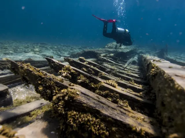 The image shows a scuba diver swimming over the wreck of a ship in the ocean. The diver is wearing...