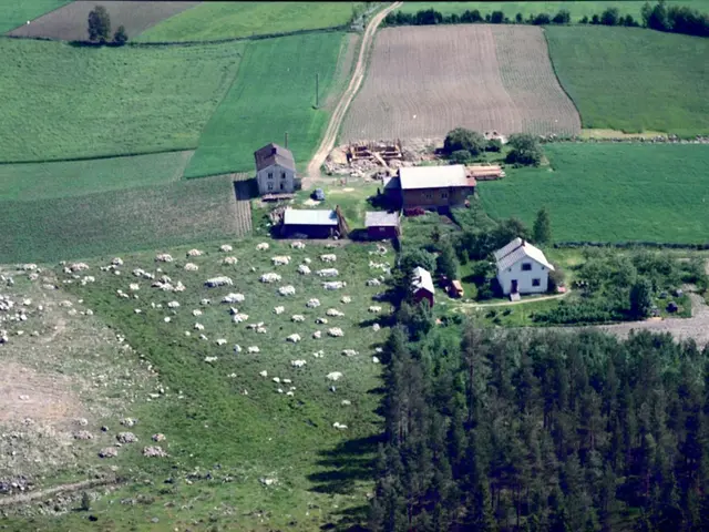 The image shows an aerial view of a farm with a herd of sheep grazing in the foreground, surrounded...