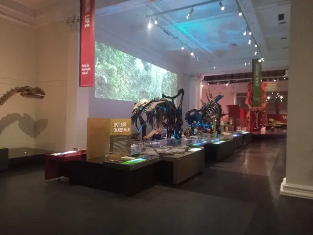The image shows a room filled with lots of different types of dinosaurs on display, including...