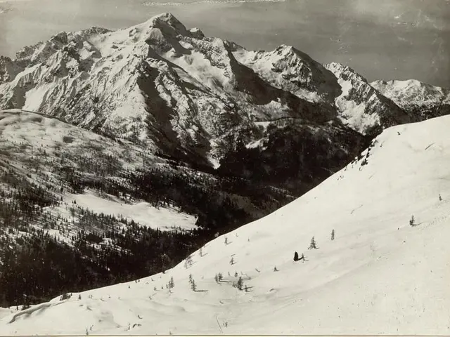 The image shows a black and white photo of a snowy mountain range with trees in the foreground and...