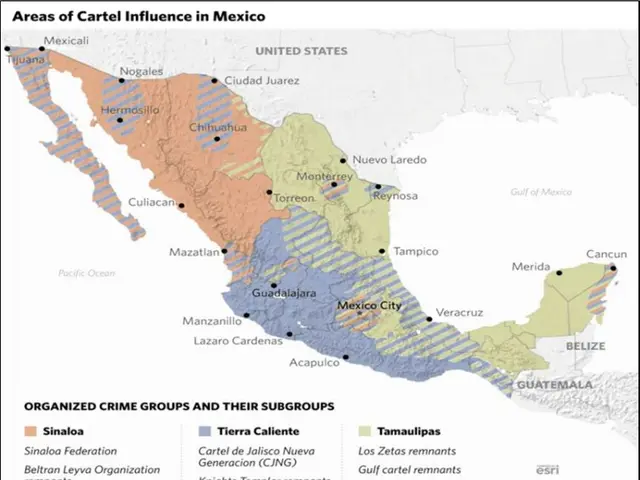 The image shows a poster with a map of Mexico, highlighting the areas of cartel influence. The map...
