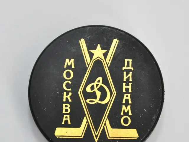 The image shows a black hockey puck with a gold logo on it against a white background.