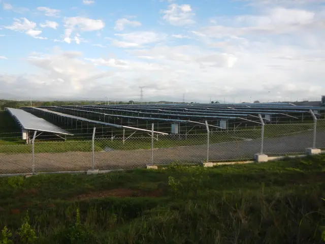 The image shows a large solar farm in the middle of a field, surrounded by grass, plants, and a...