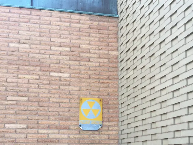 The image shows a brick building with a sign on the side of it, a plant at the bottom, and a board...