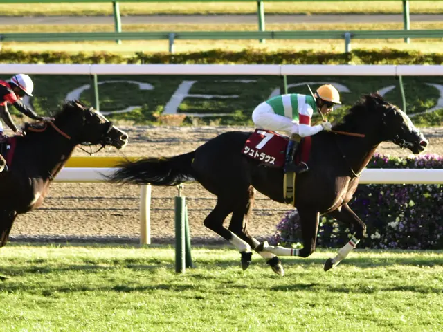 The image shows two jockeys on horses racing down a track, wearing helmets and surrounded by lush...