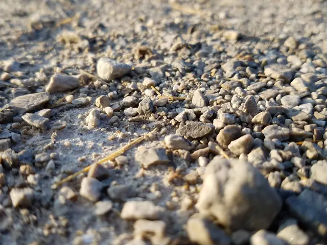 The image shows a close up of a gravel road with small stones scattered across it. The stones are...
