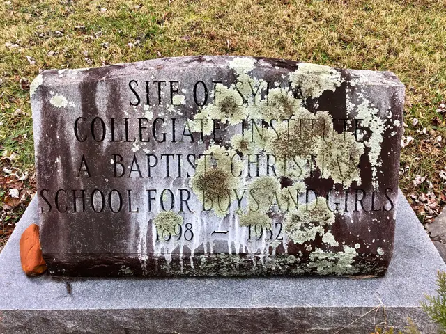 The image shows a gravestone with text inscribed on it, surrounded by plants and grass in the...