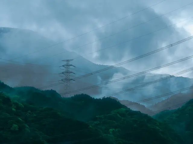 The image shows a high voltage power line in the middle of a lush green forest, with trees on the...