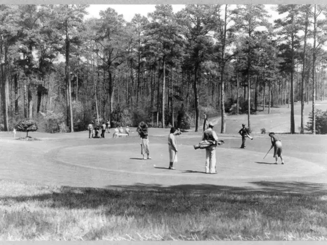 The image shows a group of people playing golf on a golf course surrounded by trees and plants. The...