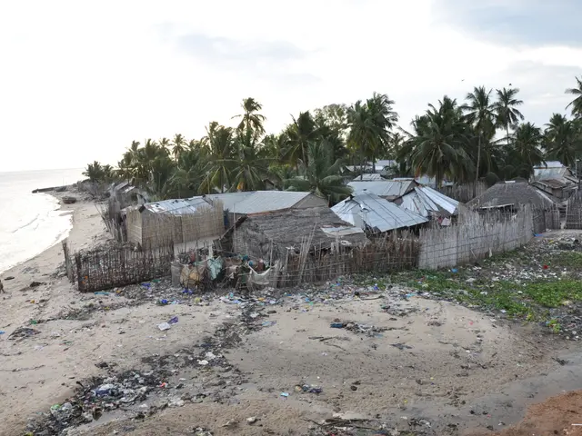 The image shows a beach with a number of huts and trees in the background, and a body of water on...