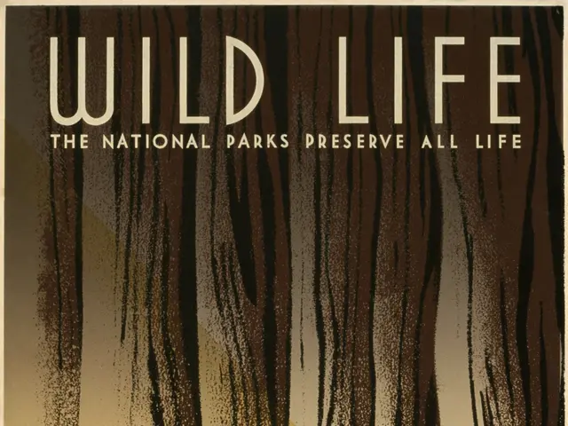 The image shows a poster with the words "Wild Life: The National Parks Preserve All Life" written...