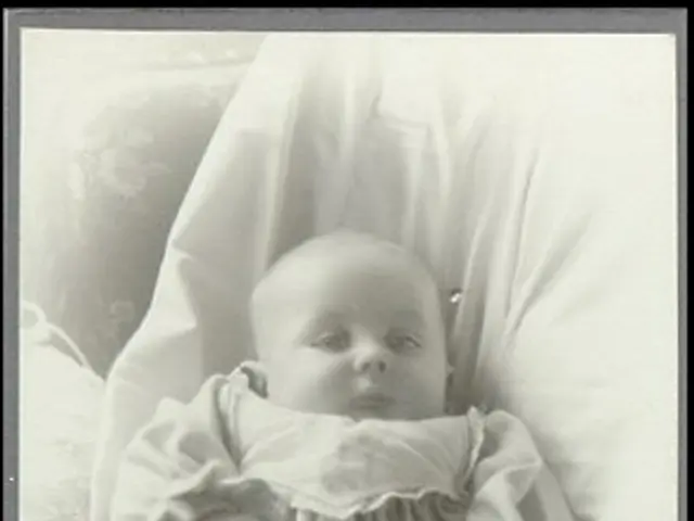 The image shows an old black and white photo of a baby in a cradle, with a cloth draped over them....