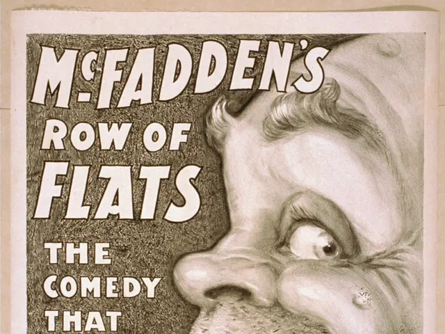 The image shows a poster of a person's face with the text "McFadden's Row of Flats: The Comedy That...