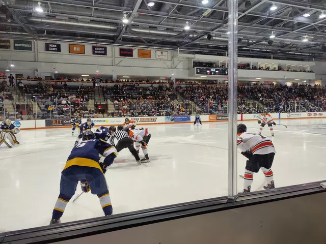 The image shows a group of people playing a game of hockey on an ice rink. They are wearing helmets...