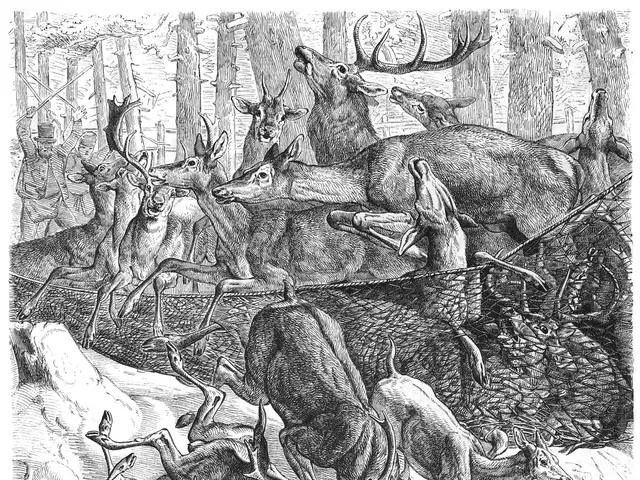 The image shows a black and white drawing of a herd of deer in the woods, with a net in the...