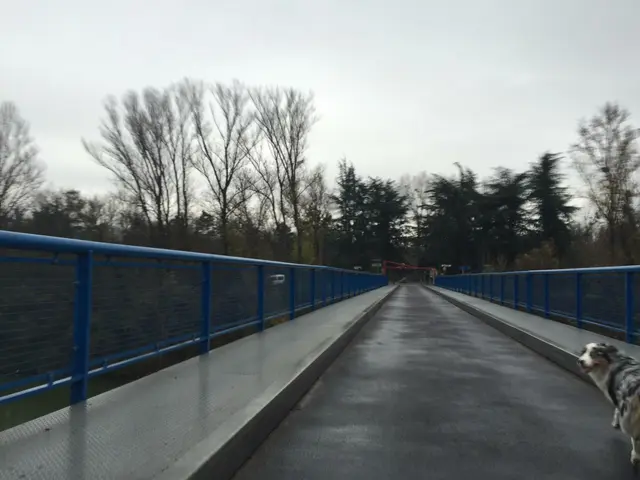 The image shows a dog walking across a bridge over a river, with railings on either side. In the...