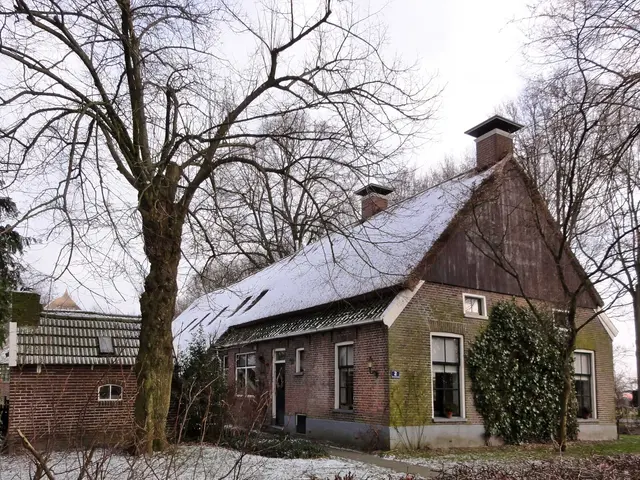The image shows a house with a roof covered in snow, surrounded by a group of trees, plants, grass,...