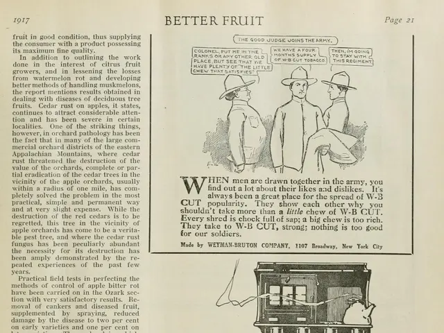 The image shows an old advertisement for a new oil stove with a picture of a man and a woman...