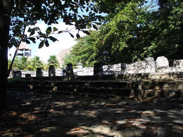 The image shows the ruins of the Mayan city of Tikalpa, Guatemala. We can see a group of trees,...