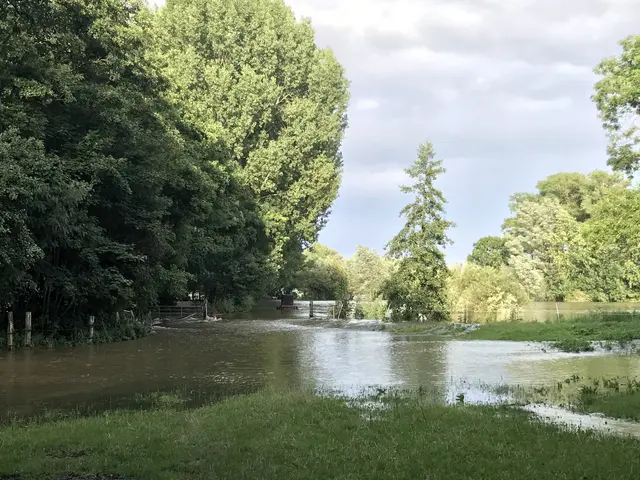 The image shows a flooded road in the middle of a wooded area, with grass on the ground, trees in...