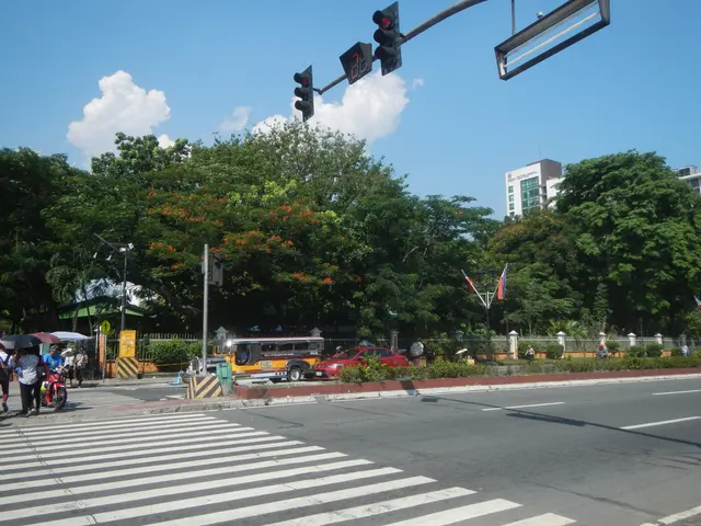 The image shows a city street with a zebra crossing and a traffic light at the intersection. There...