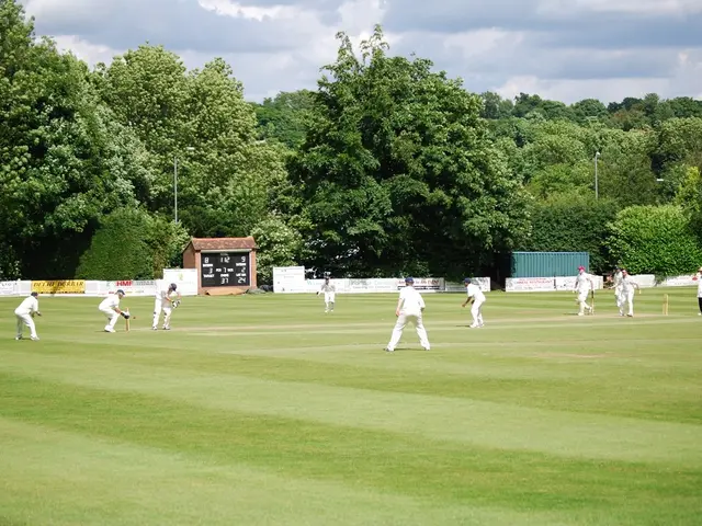 The image shows a group of people playing a game of cricket on a grassy field, with wickets set up...