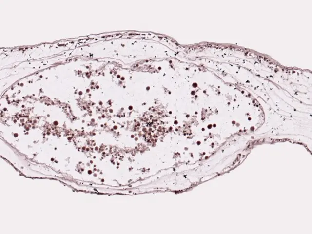 The image shows a cross section of a piece of paper with a small amount of dirt on it, which is a...