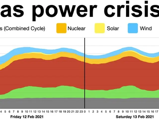 The image shows a graph depicting the 2021 Texas power crisis, with different colors representing...