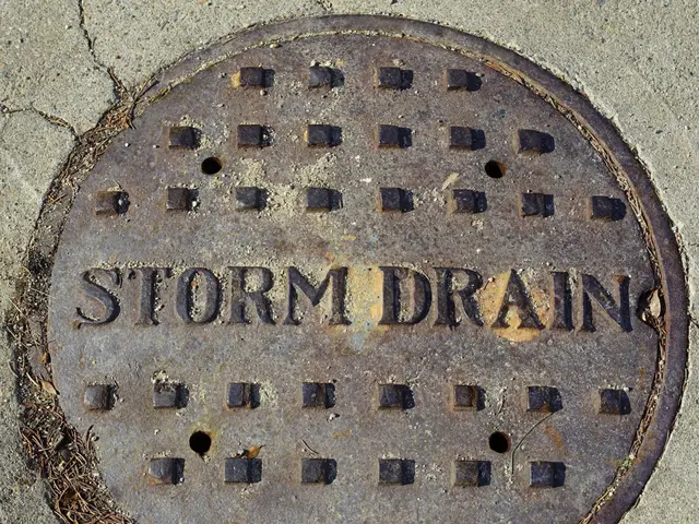 The image shows a metal manhole cover on the ground with the words "storm drain" written on it.