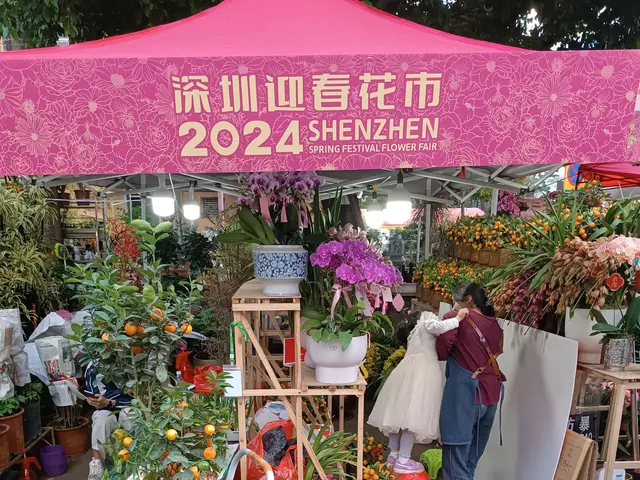The image shows a group of people standing under a pink tent at the Shenzhen Spring Festival Flower...