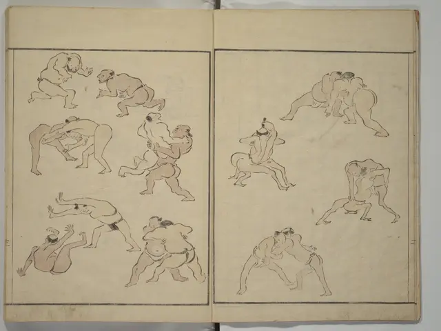 The image shows a book with a drawing of a man in a wrestling stance on a white surface. The man is...