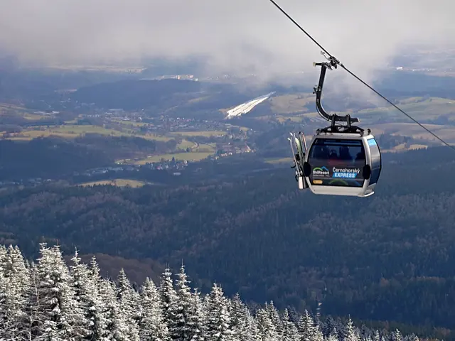 The image shows a gondola going up a snowy mountain with trees in the foreground and mountains in...