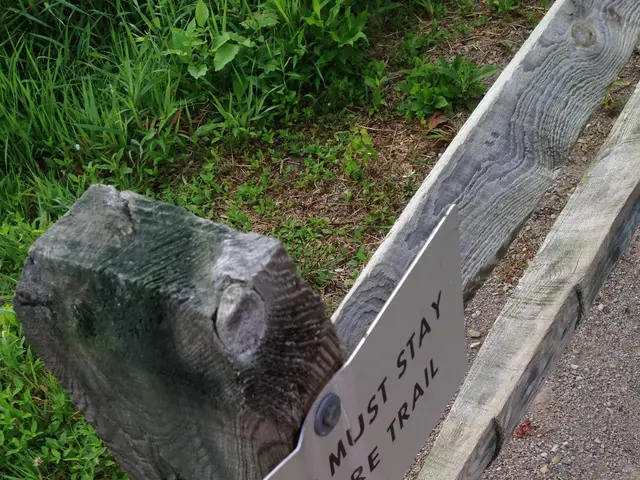 The image shows a wooden fence with a sign attached to it that reads "Visitors Must Stay on Nature...
