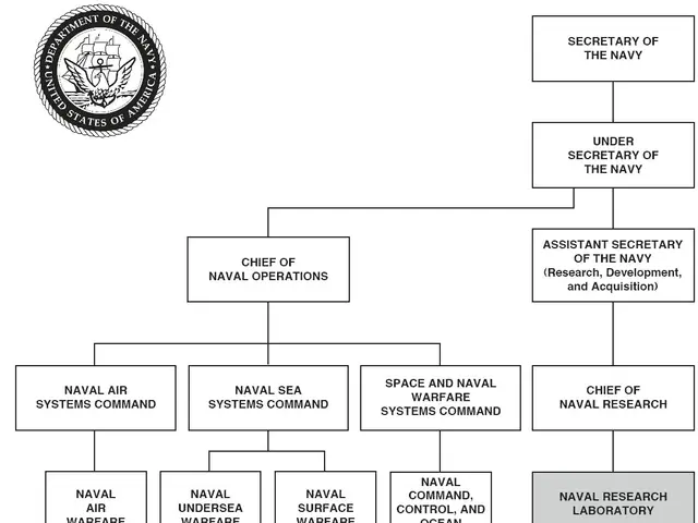 The image shows an organizational chart of the United States Navy, with a logo at the top left...