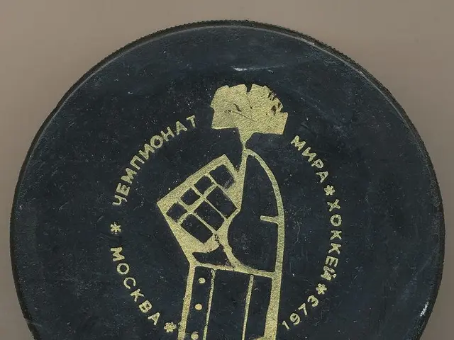 The image shows a black hockey puck with a gold emblem on it, depicting a person holding a box with...