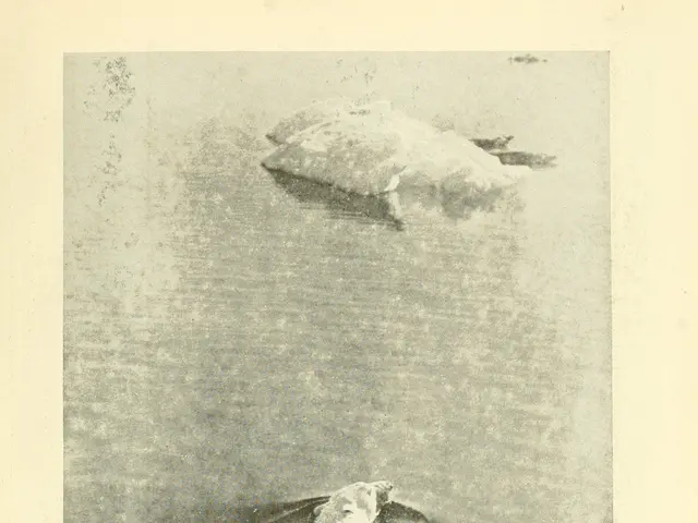 The image shows a polar bear swimming in the water with an iceberg in the background. At the bottom...