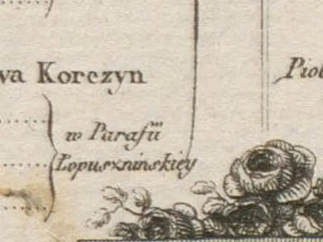 The image shows an old map of the city of Moscow, Russia, with a drawing of flowers and text on it....